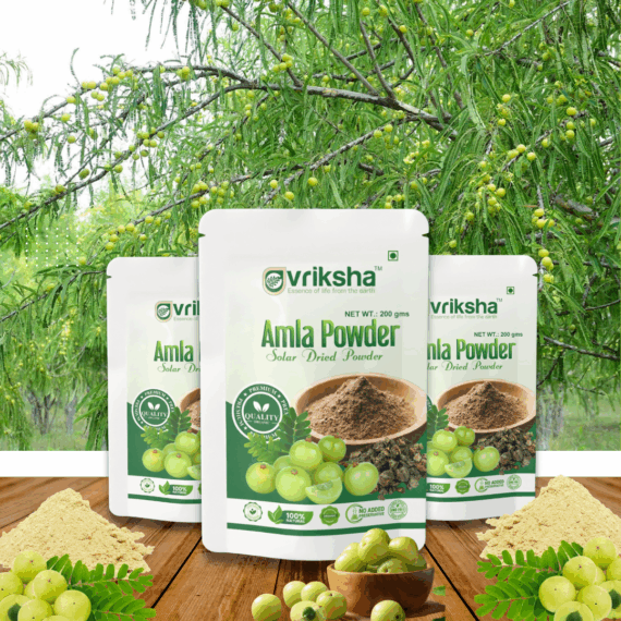 Amla Powder